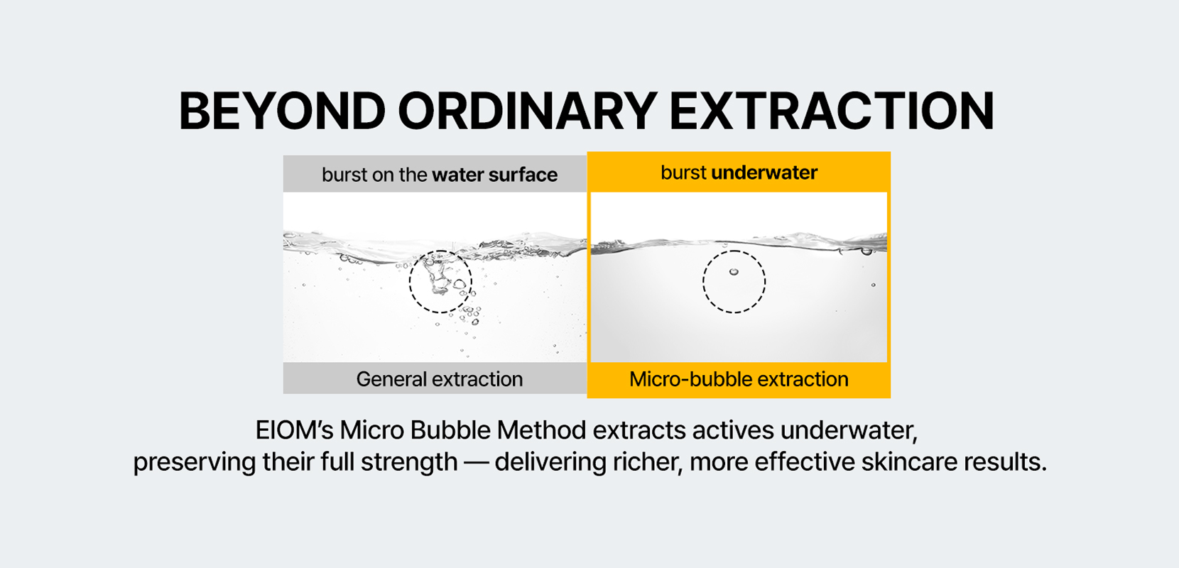 Eiom's Micro Bubble Method Extracts