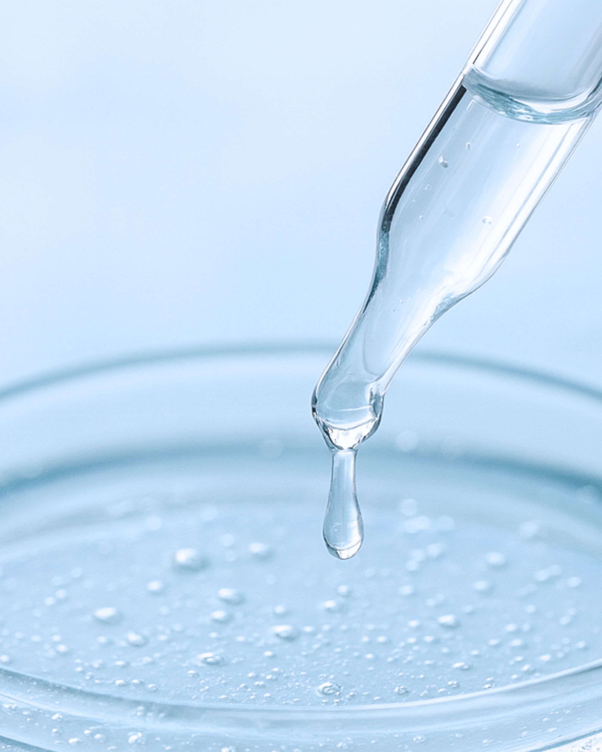 Key Ingredients_Bifida Ferment Filtrate