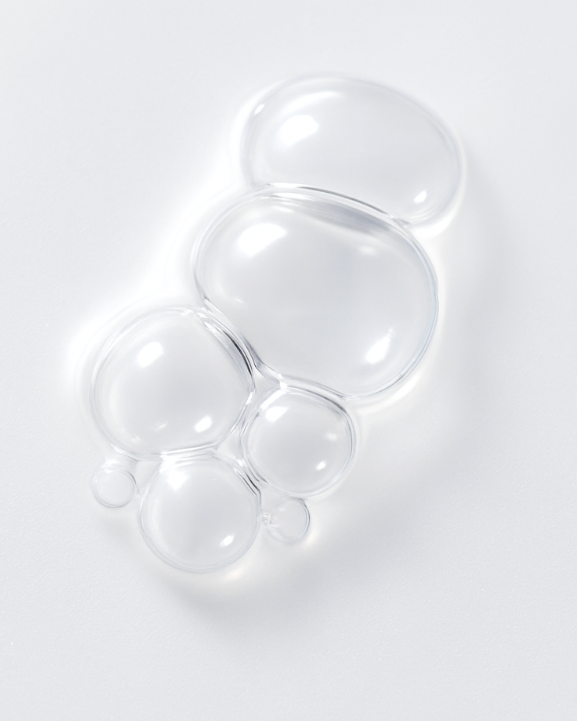 Key Ingredients_Probiotic Complex