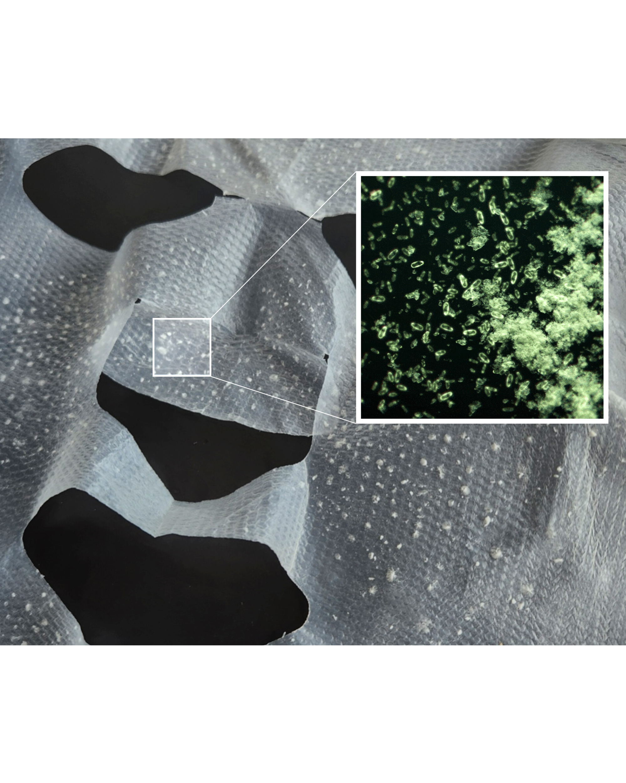 Patch Mask Detail_Visible Sebum & Impurities Removed